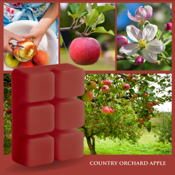 CANDLE WARMERS® Duftwachs COUNTRY ORCHARD APPLE 70g