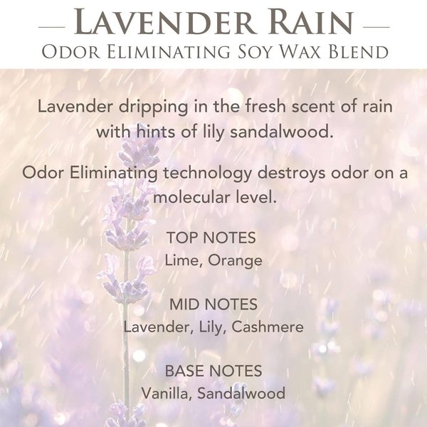 CANDLE WARMERS® Odor Eliminating Duftwachs LAVENDER RAIN 70g
