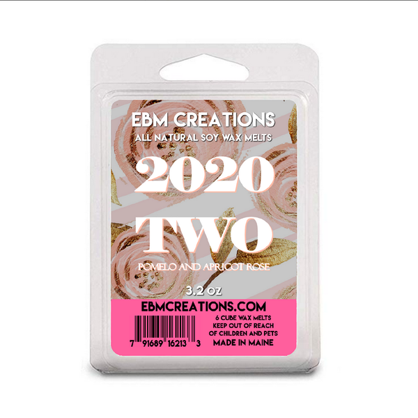 EBM Creations Soja Duftwachs 90,7g 2020 TWO
